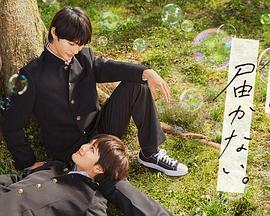 外贸网站排名优化工具